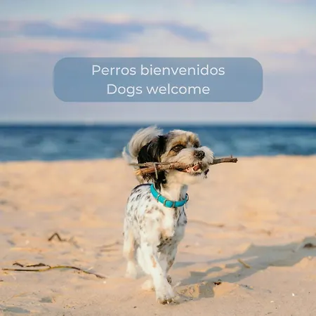 Candy Pop - Ac, High Speed Internet ,desk With Natural Light, Pool And Two Terraces Apartman