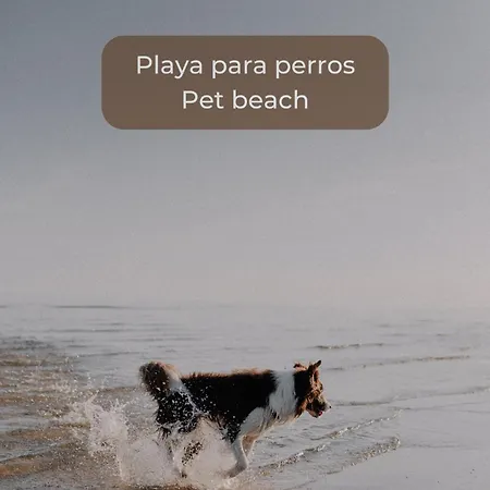 Appartement Candy Pop - Ac, High Speed Internet ,desk With Natural Light, Pool And Two Terraces *